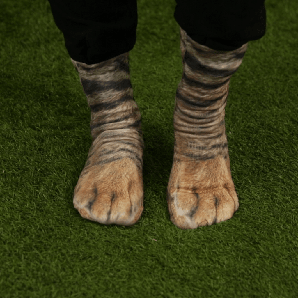 Animal Paw Socks (One Size Fits All)