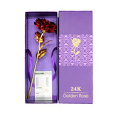 24k Forever Gold Rose